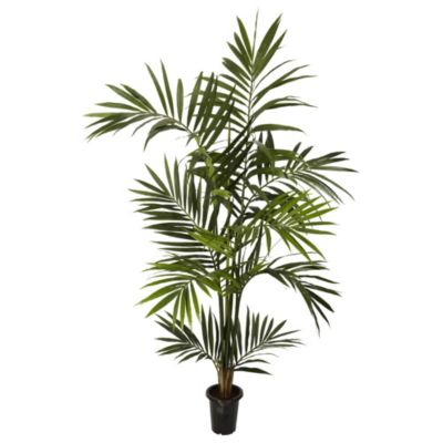 Nearly Natural 6 Foot Kentia Palm Silk Tree