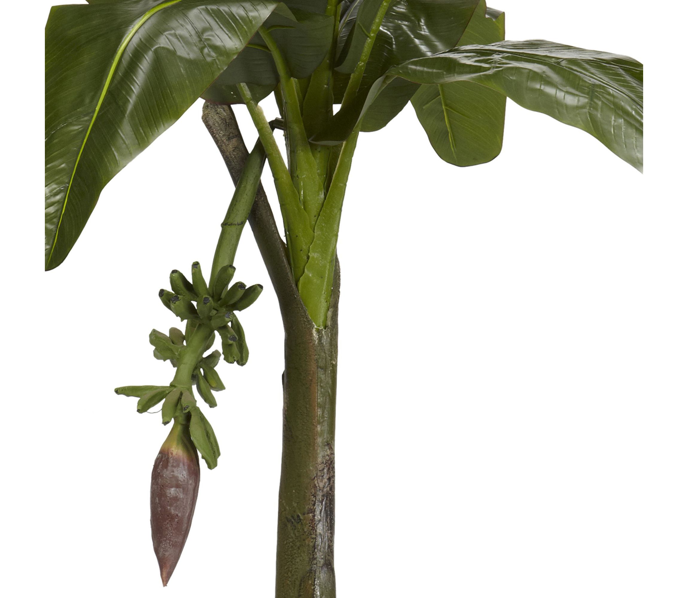 6 Banana Silk Tree - Real Touch