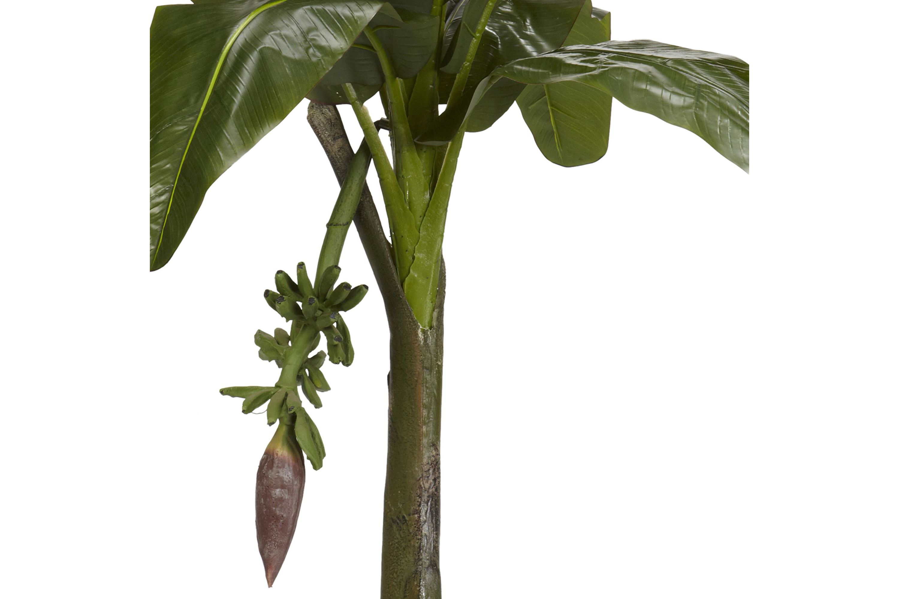 6 Banana Silk Tree - Real Touch