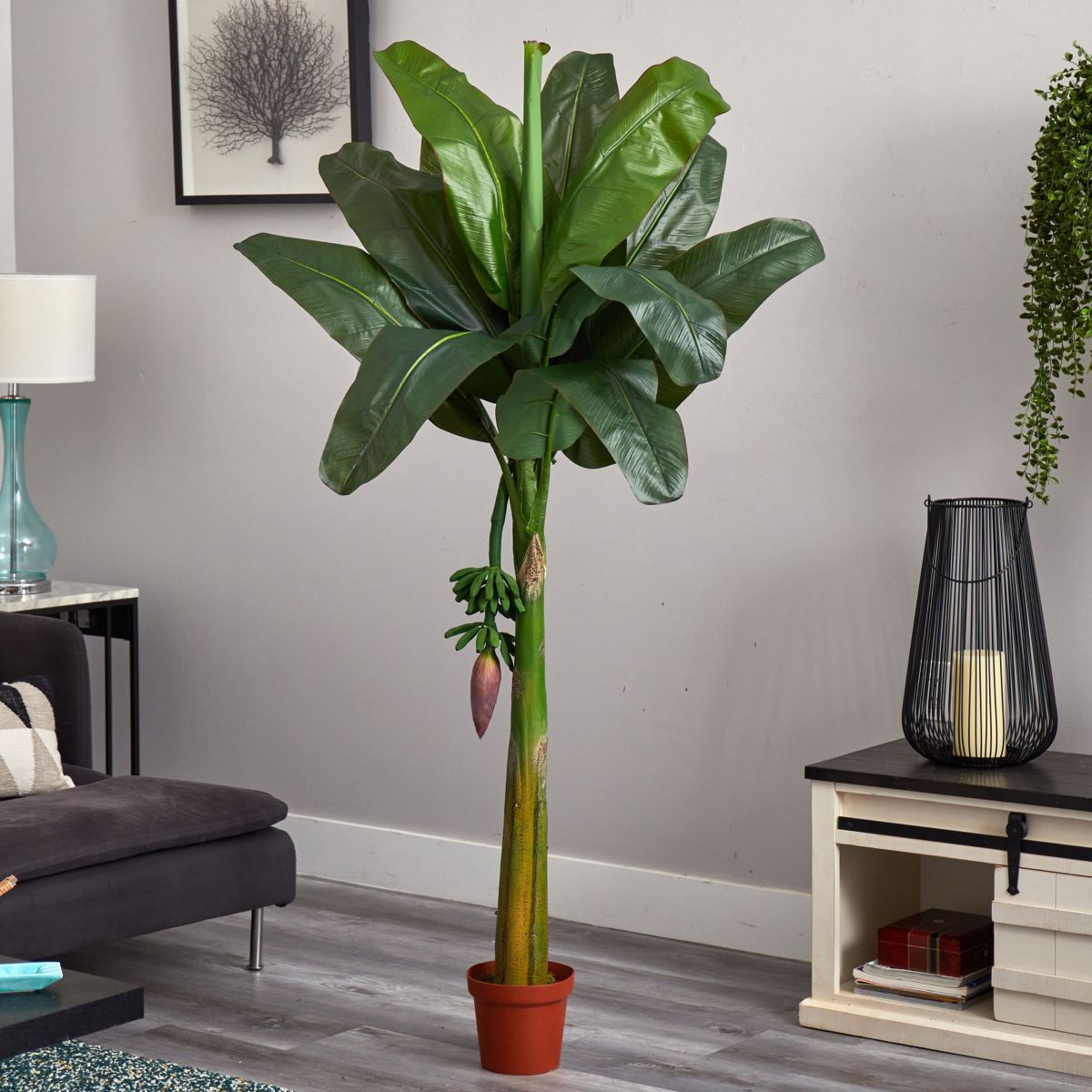 6 Banana Silk Tree - Real Touch