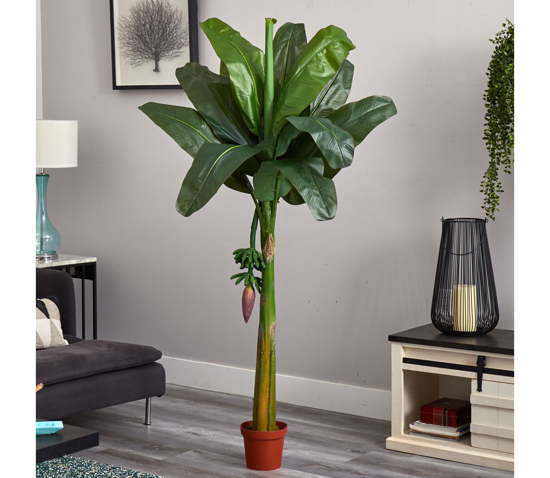 6 Banana Silk Tree - Real Touch