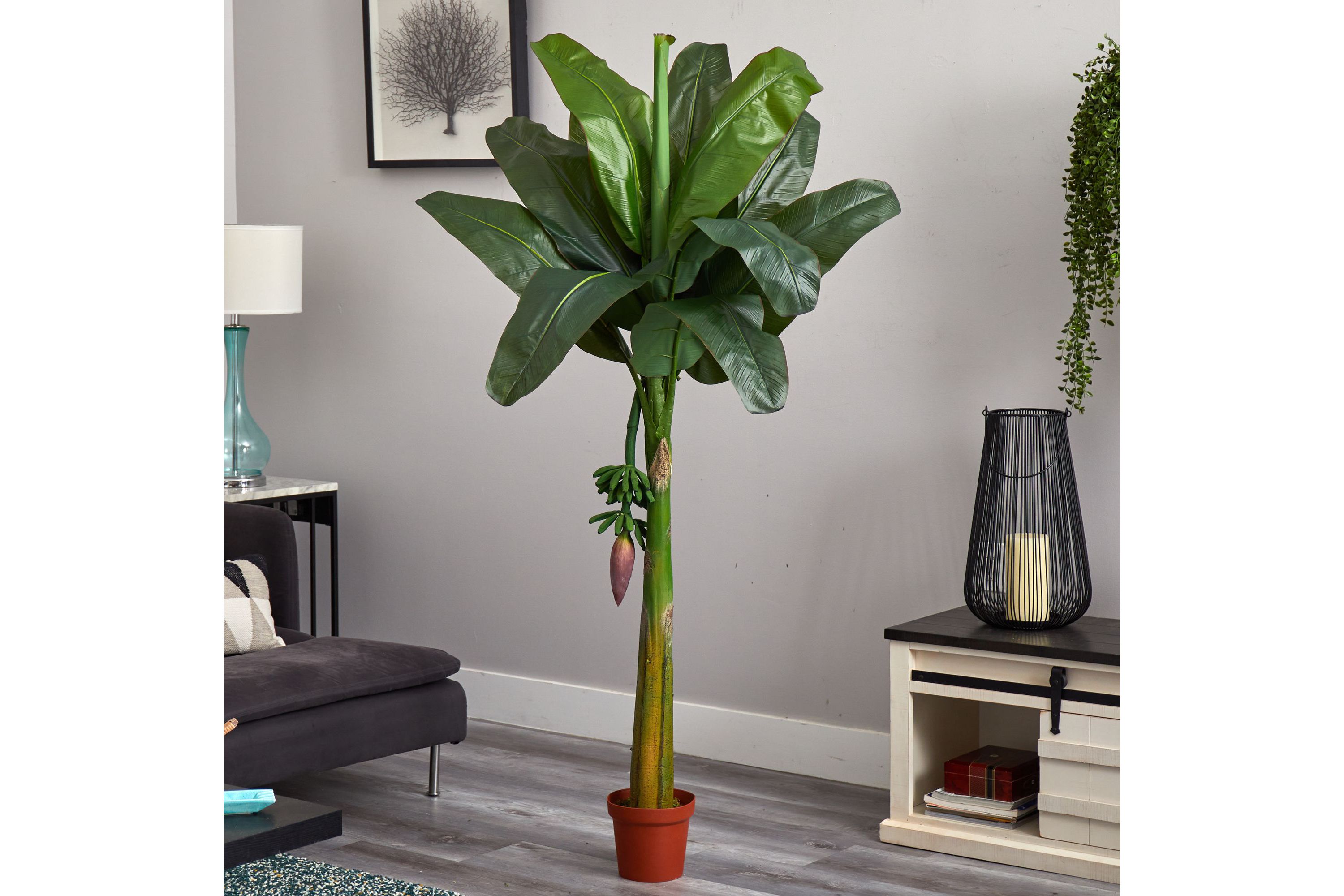 6 Banana Silk Tree - Real Touch