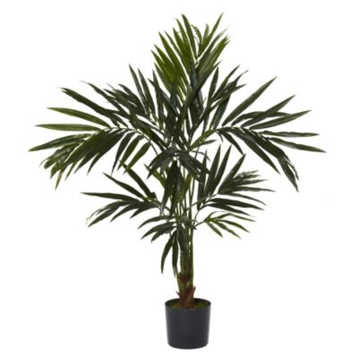 5 Foot Kentia Silk Tree