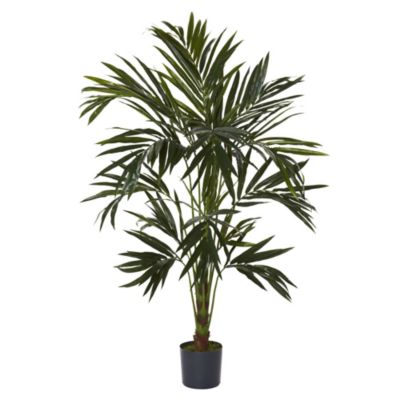 6 Foot Kentia Silk Tree