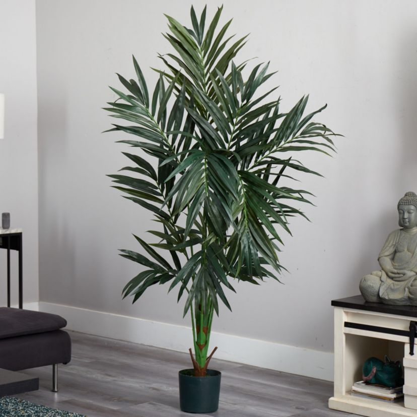 6 Foot Kentia Silk Tree
