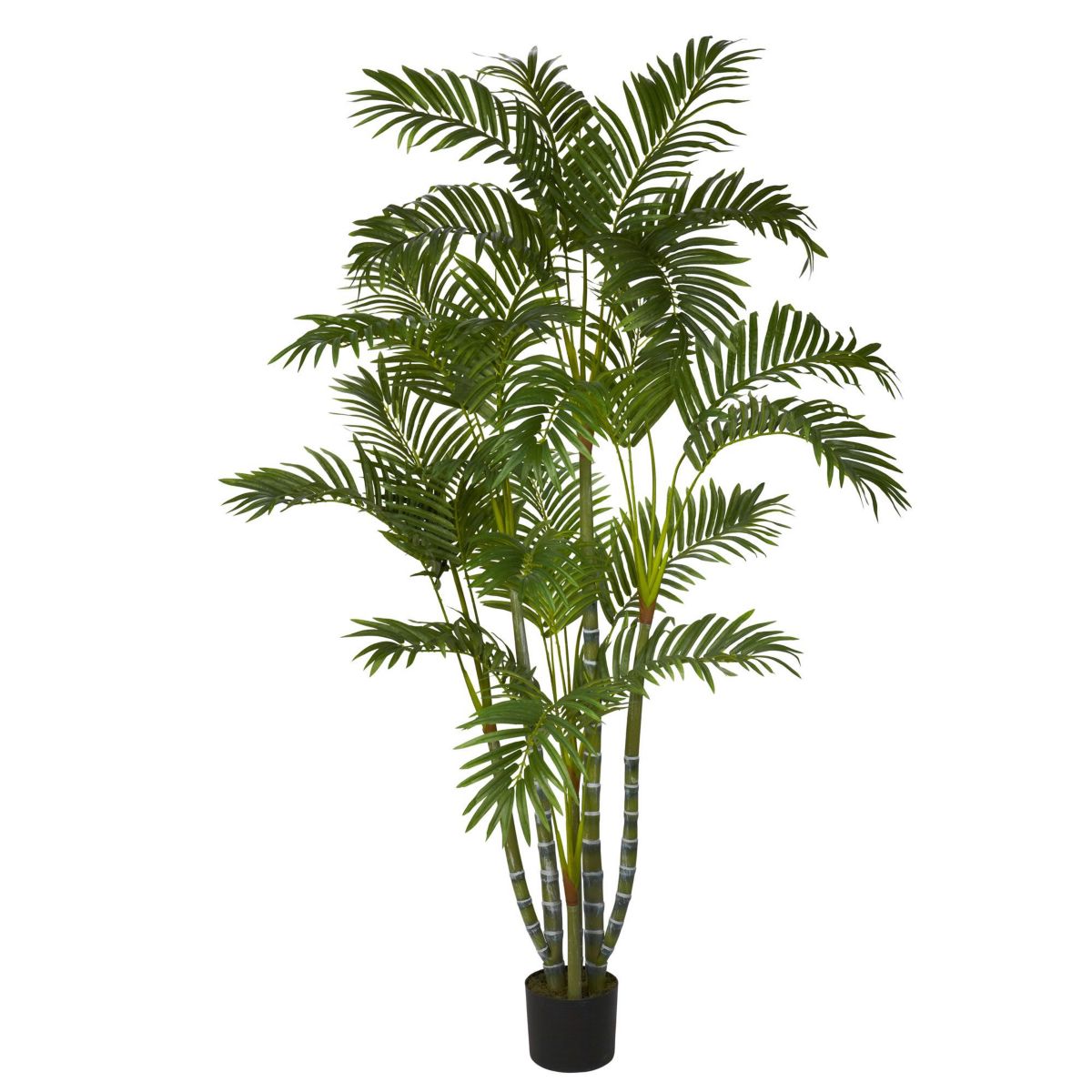 5-Foot Areca Silk Tree