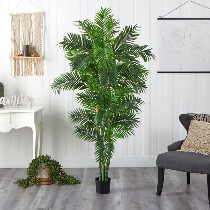 6 Curvy Parlor Palm Silk Tree