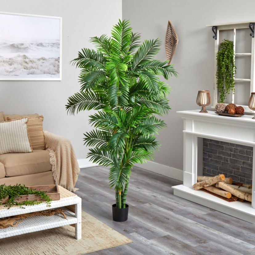 6 Curvy Parlor Palm Silk Tree