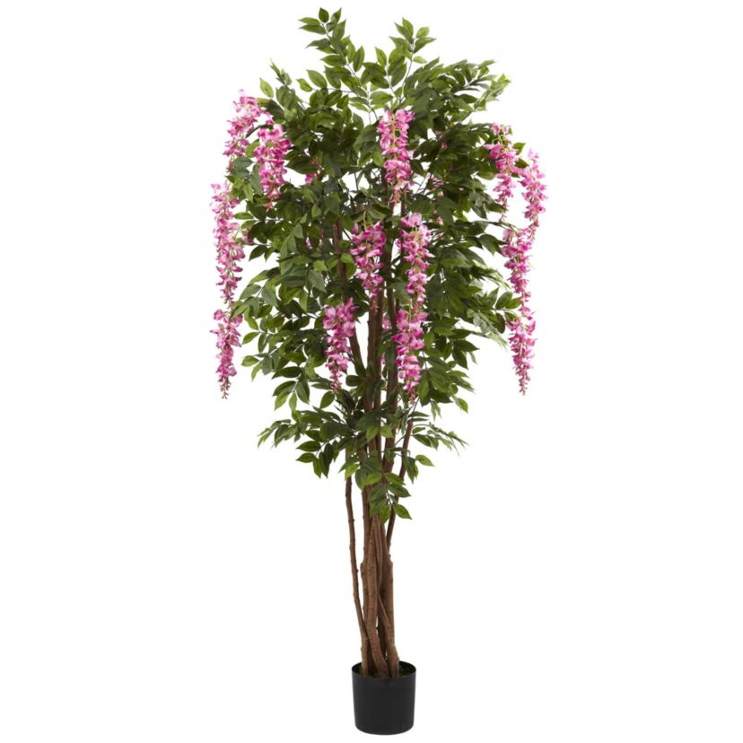 6.5 Wisteria Silk Tree