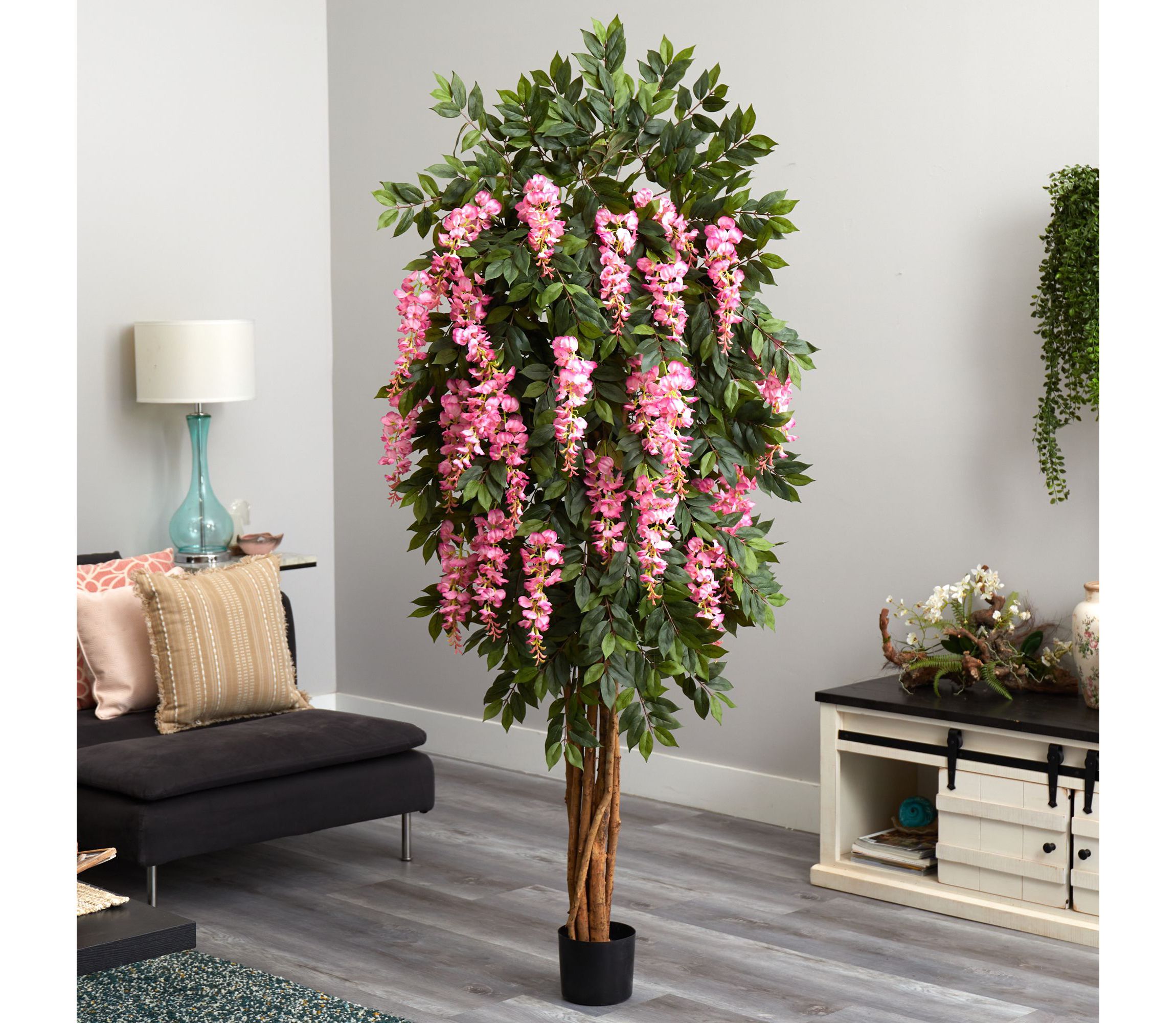6.5 Wisteria Silk Tree