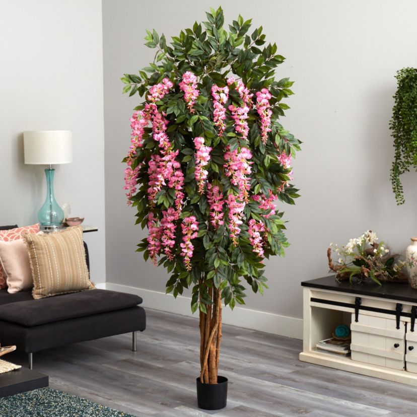6.5 Wisteria Silk Tree