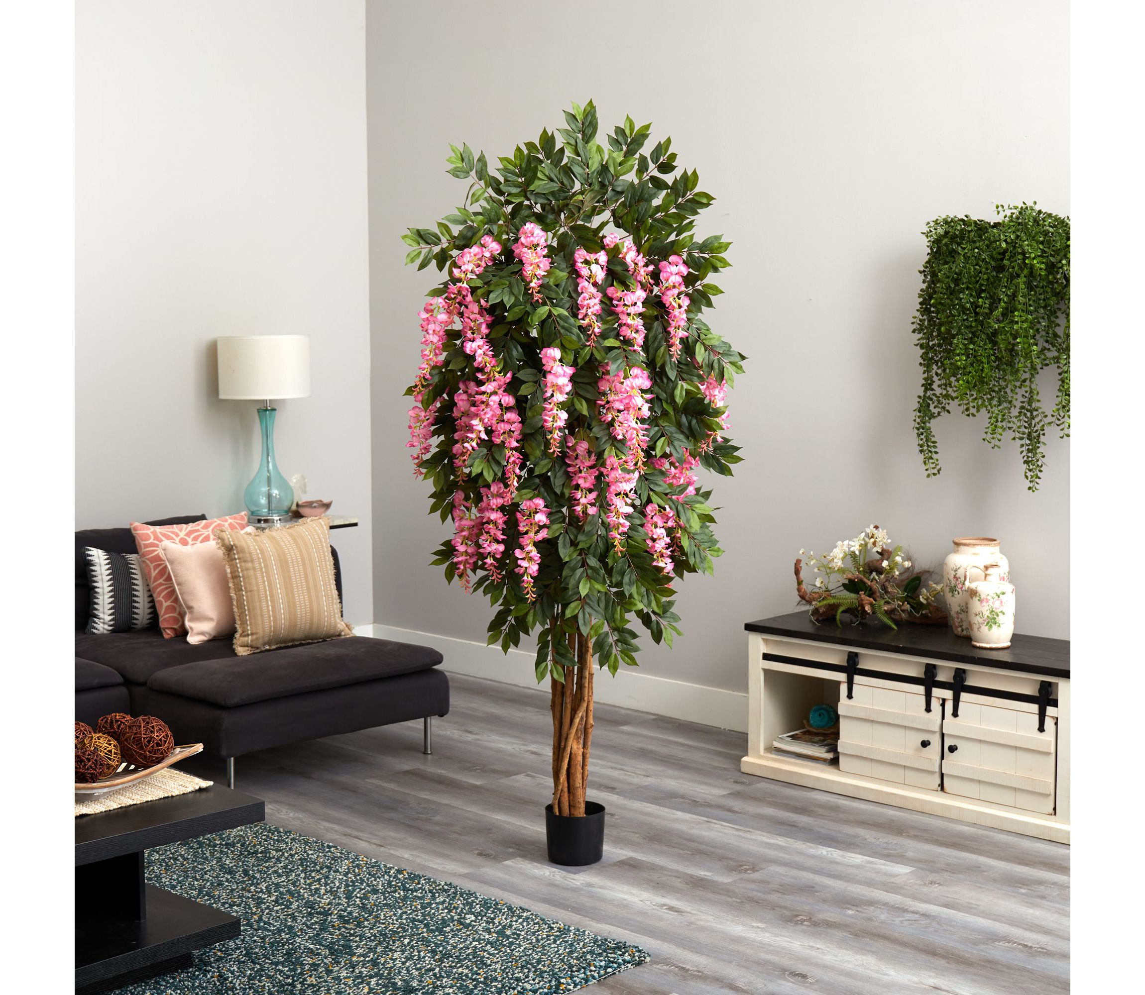 6.5 Wisteria Silk Tree