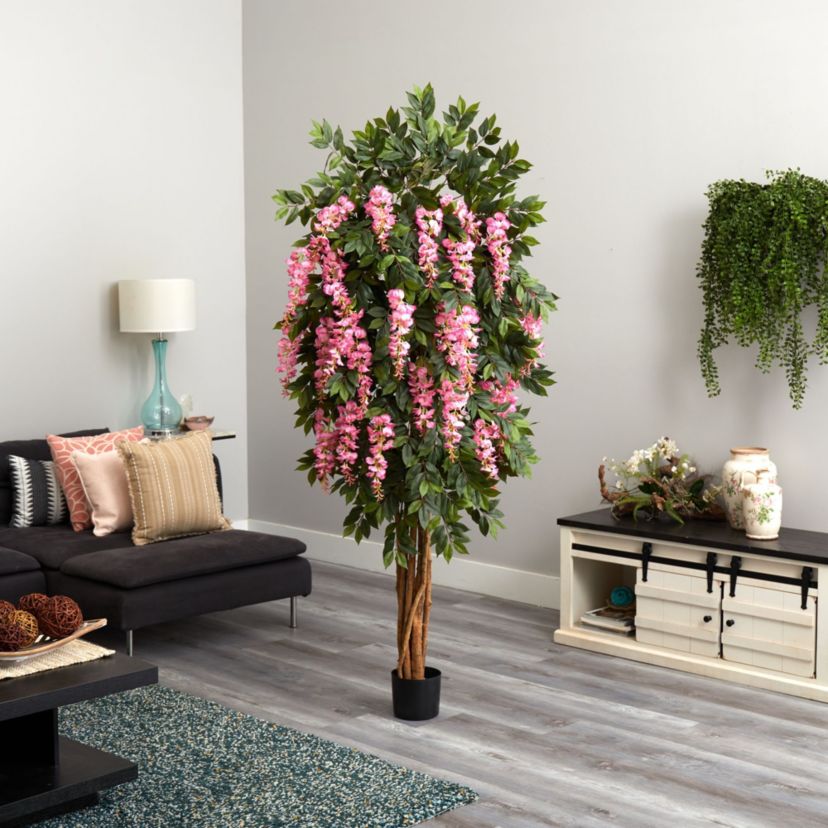 6.5 Wisteria Silk Tree