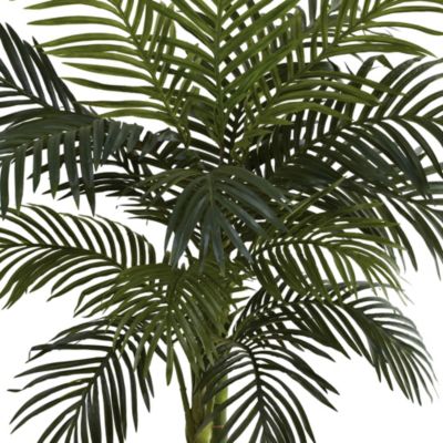 4-Foot Golden Cane Palm Tree