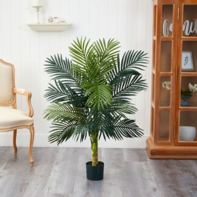 4-Foot Golden Cane Palm Tree
