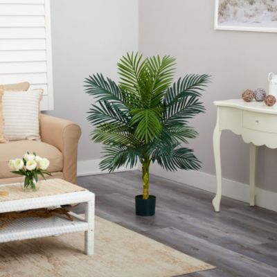 4-Foot Golden Cane Palm Tree