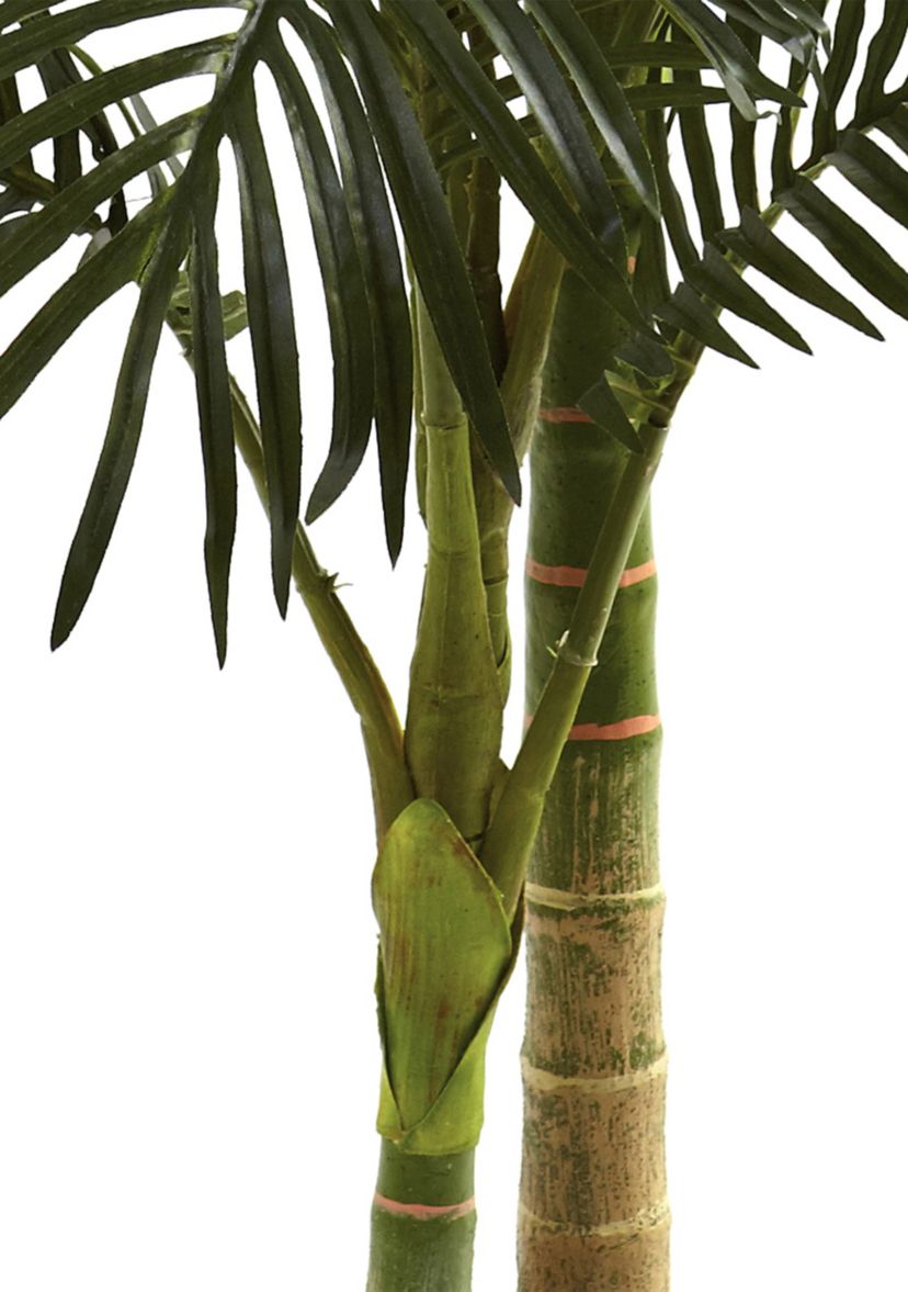5ft. Golden Cane Palm Tree