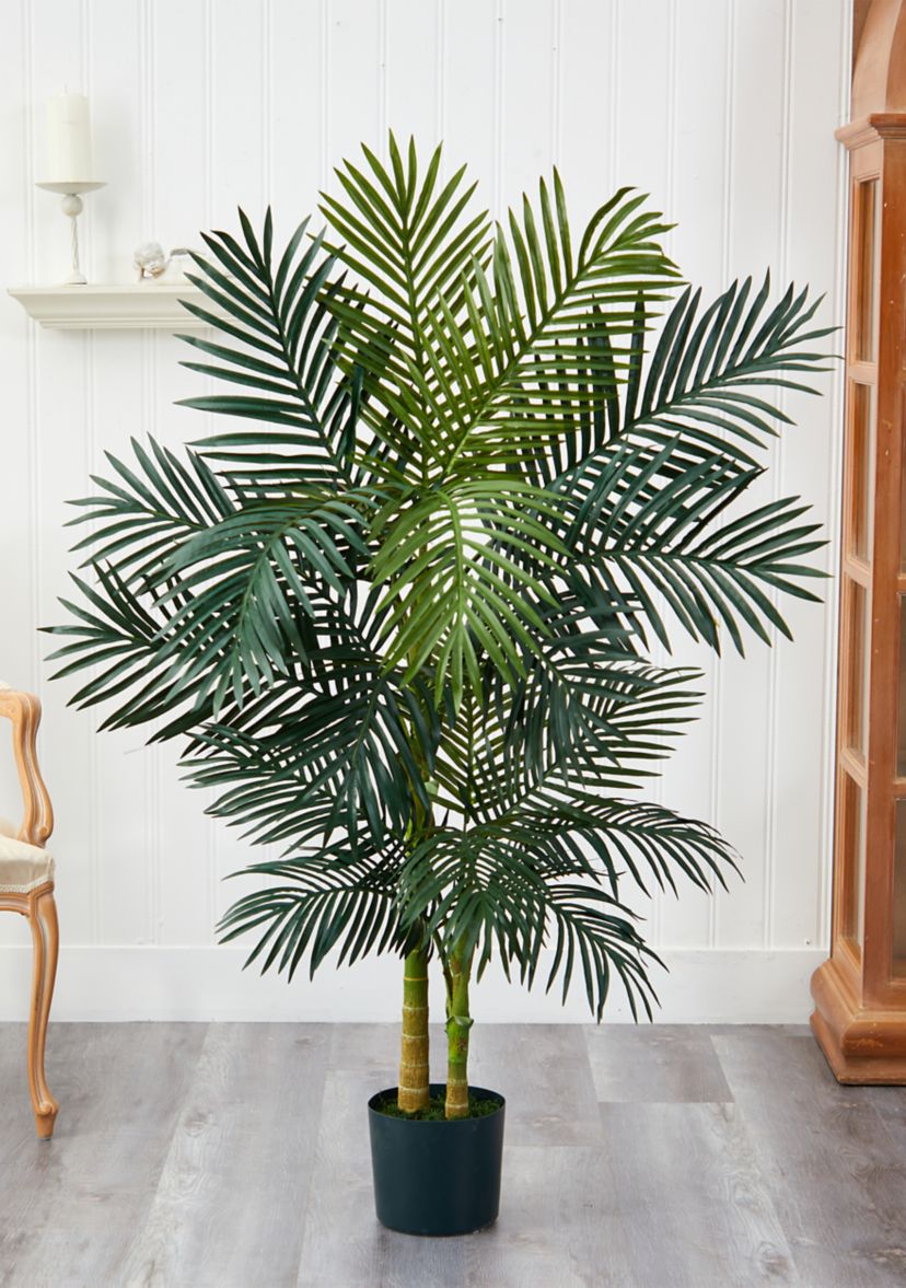 5ft. Golden Cane Palm Tree