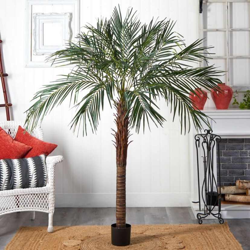 6-Foot Robellini Palm Tree