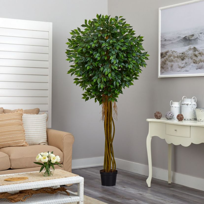 7.5-Foot Ficus Tree UV Resistant (Indoor/Outdoor)