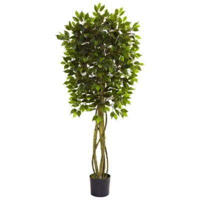 Nearly Natural 5.5-Foot Ficus Tree UV Resistant (Indoor/Outdoor), Green