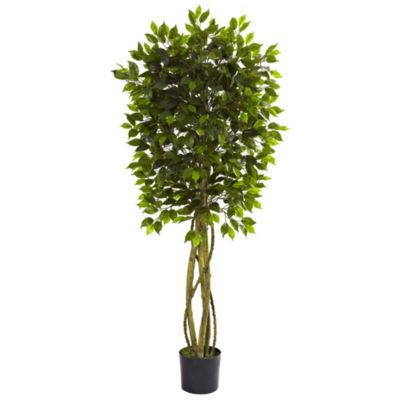 5.5-Foot Ficus Tree UV Resistant (Indoor/Outdoor)