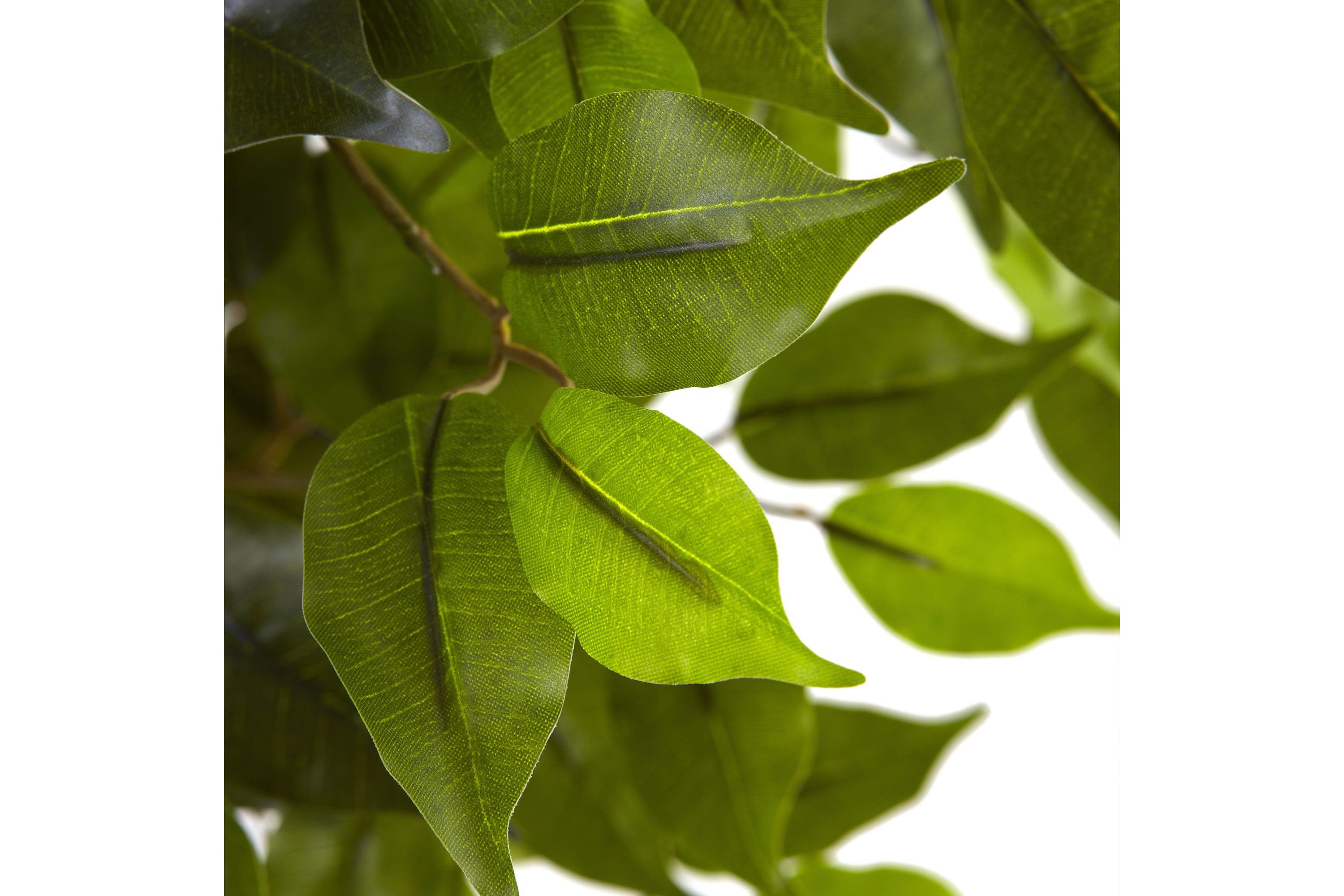 5.5-Foot Ficus Tree UV Resistant (Indoor/Outdoor)