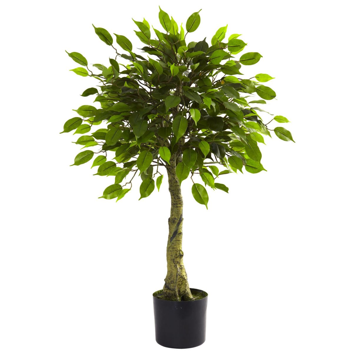 3 UV Resistant Ficus Tree - Indoor/Outdoor