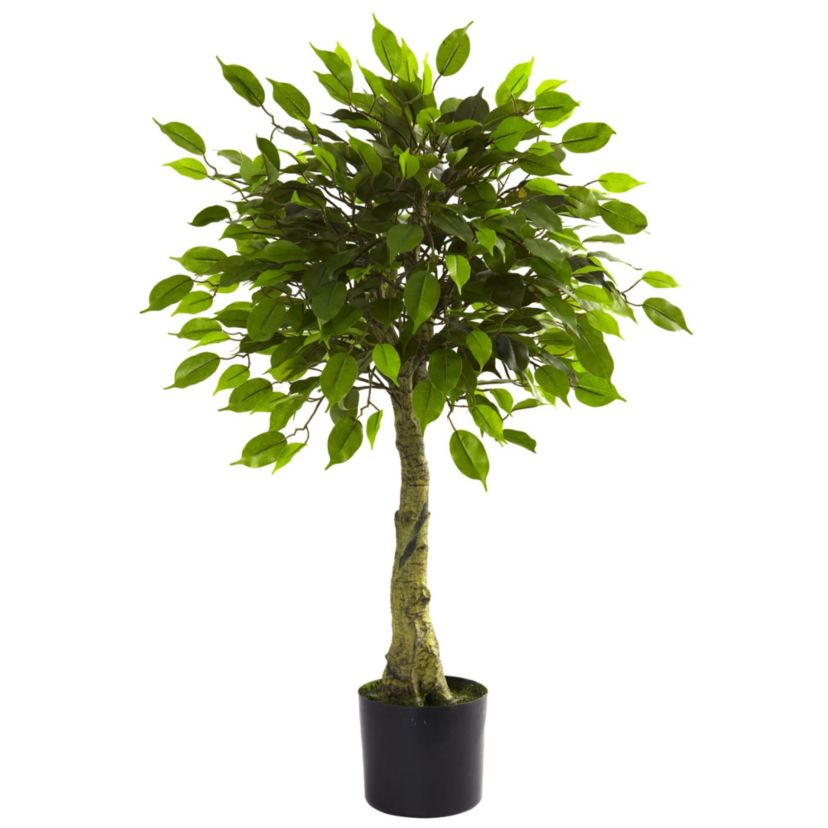 3 UV Resistant Ficus Tree - Indoor/Outdoor