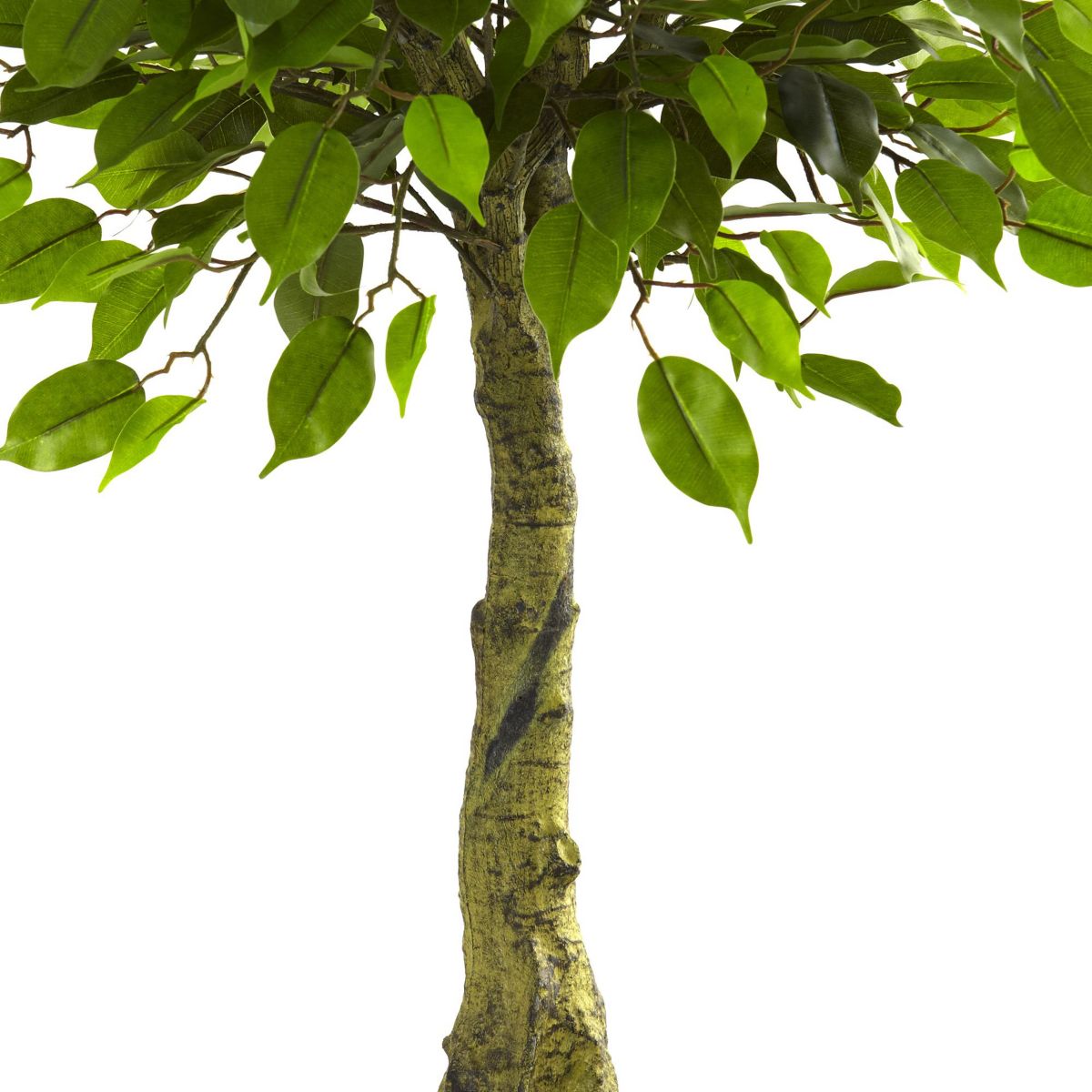 3 UV Resistant Ficus Tree - Indoor/Outdoor