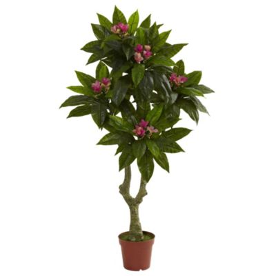 5-Foot Plumeria Tree UV Resistant (Indoor/Outdoor)