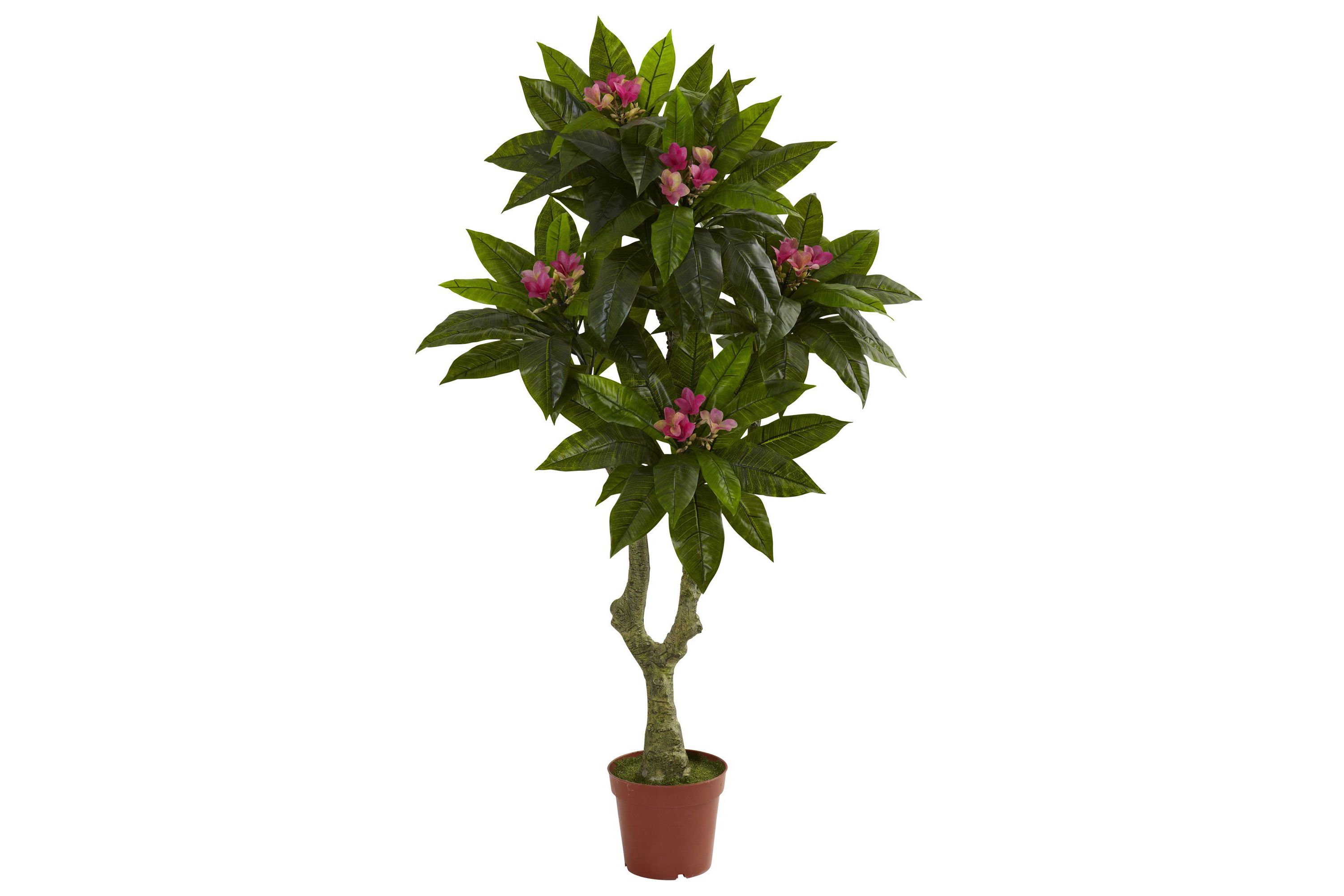 5-Foot Plumeria Tree UV Resistant (Indoor/Outdoor)