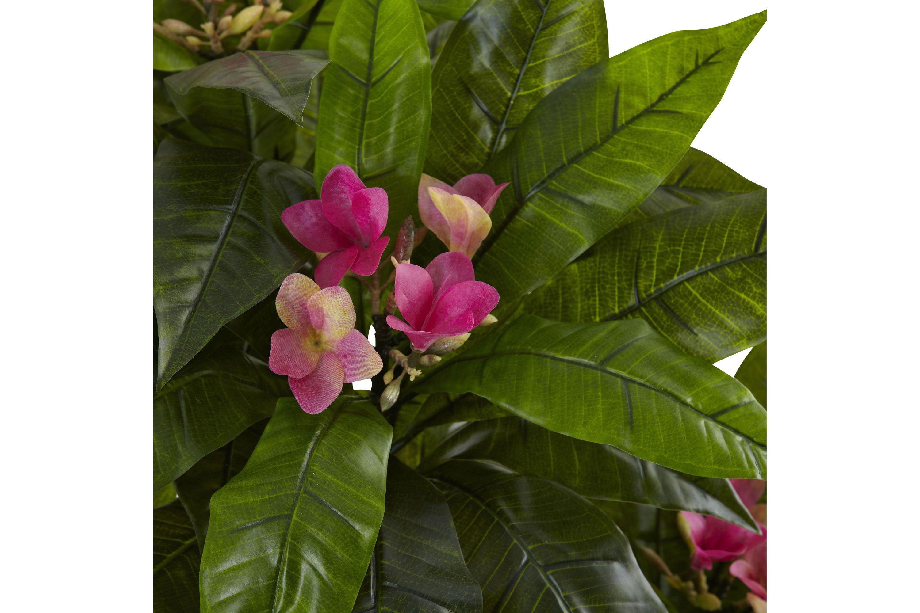 5-Foot Plumeria Tree UV Resistant (Indoor/Outdoor)