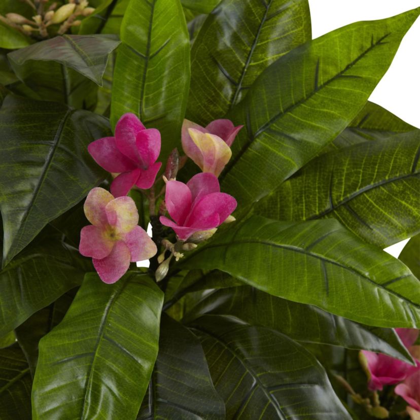 5-Foot Plumeria Tree UV Resistant (Indoor/Outdoor)