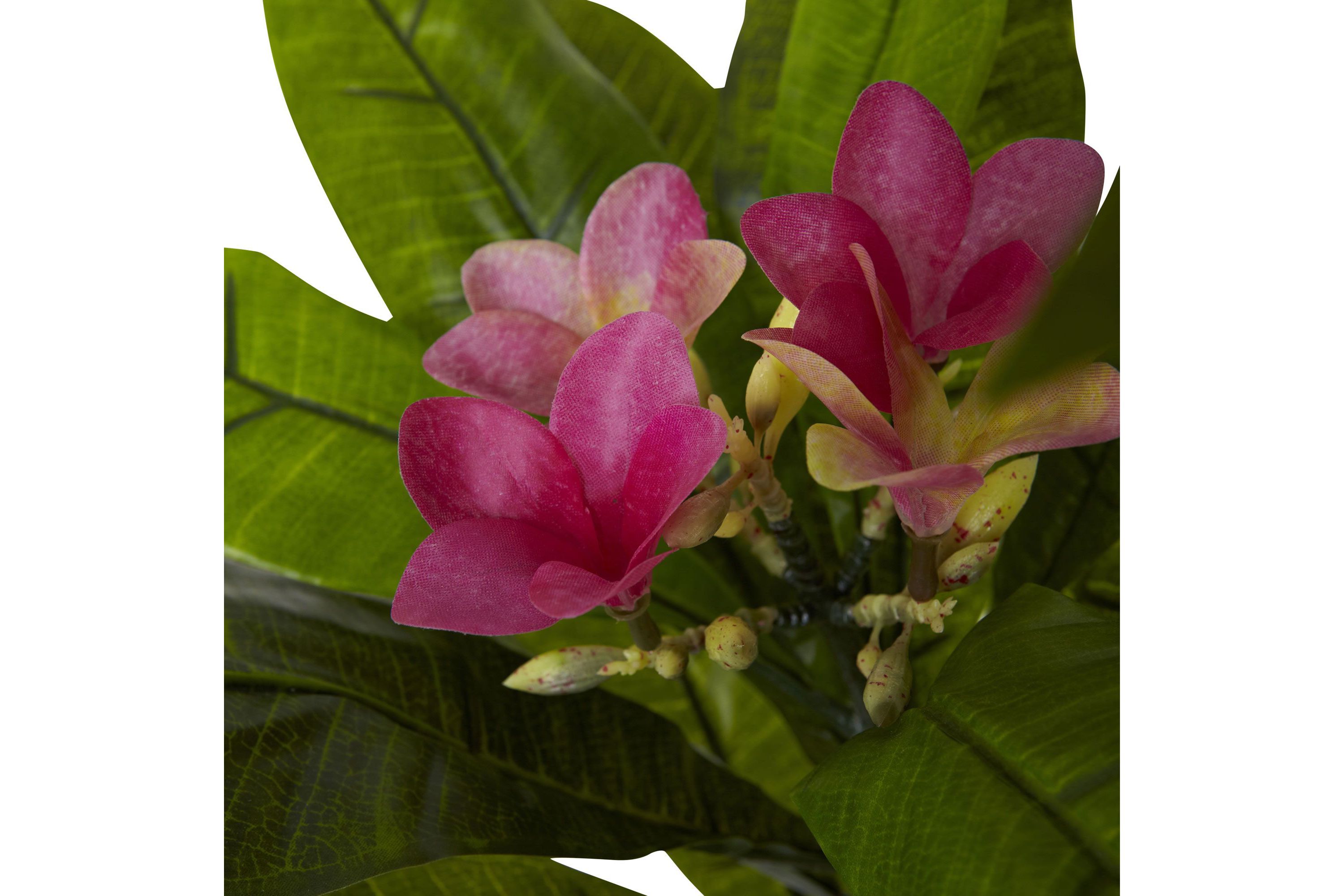 5-Foot Plumeria Tree UV Resistant (Indoor/Outdoor)