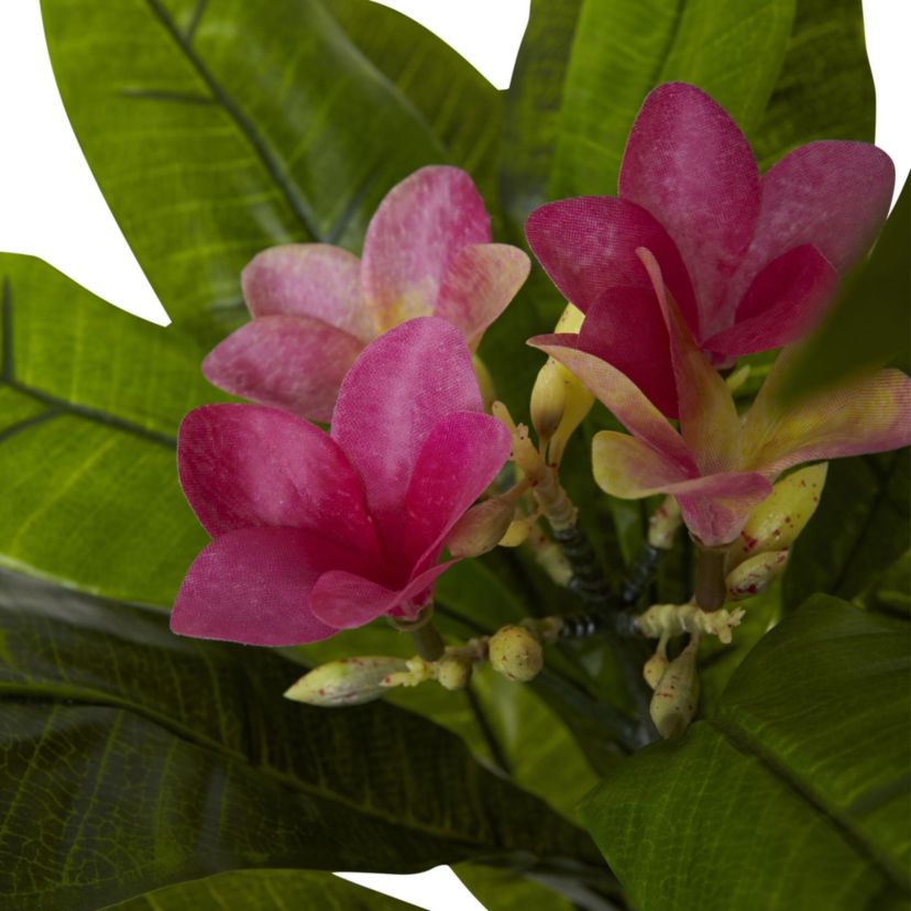 5-Foot Plumeria Tree UV Resistant (Indoor/Outdoor)