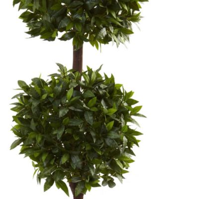 6' Sweet Bay Double Ball Topiary