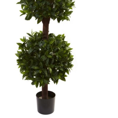 6.5' Sweet Bay Triple Ball Topiary