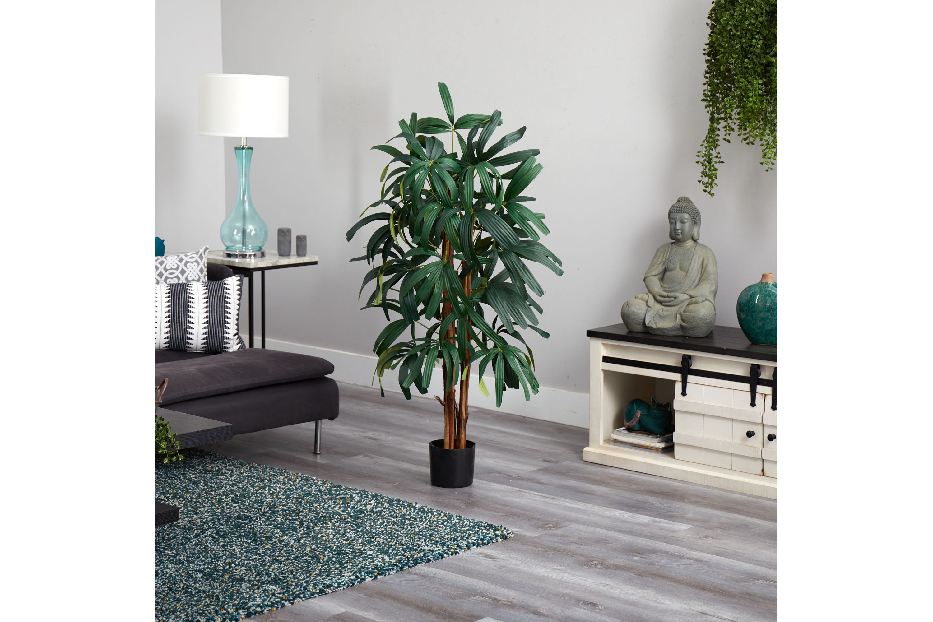 4 Raphis Palm Tree