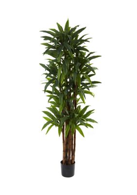 Nearly Natural 6.5-Foot Dracaena Tree, Green