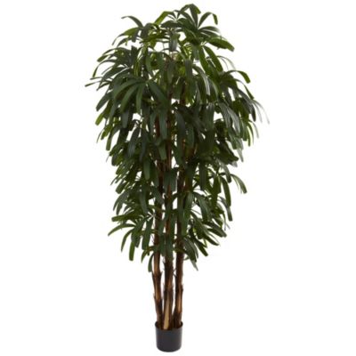 Nearly Natural 6' Raphis Palm Tree, Green