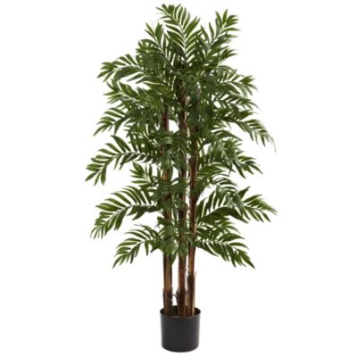 4' Parlour Palm Tree