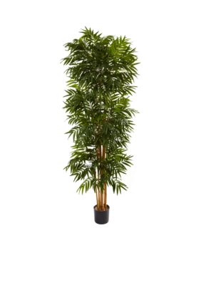 Nearly Natural 7.5-Foot Phoenix Palm Tree, Green