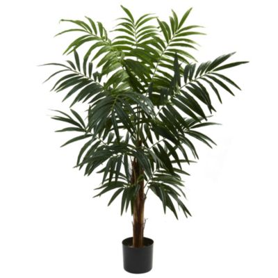 4.5' Bulb Areca Tree