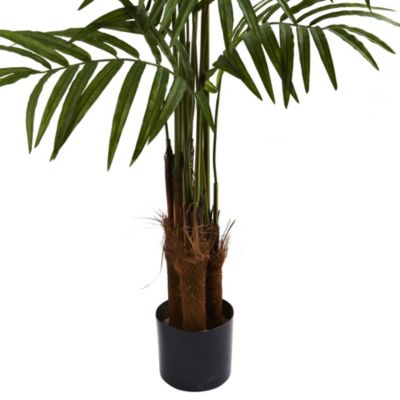 5' Big Palm Tree