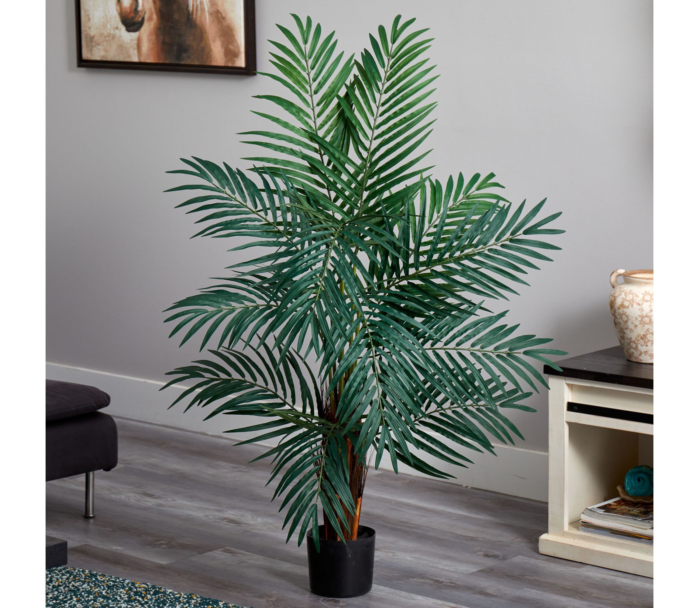 4 Areca Palm Tree