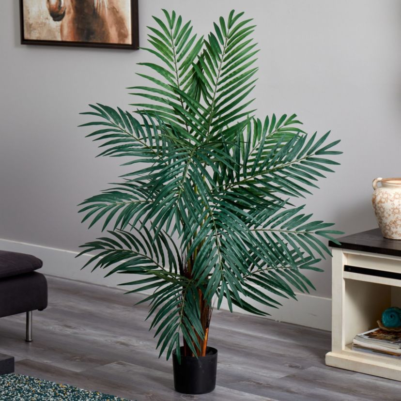 4 Areca Palm Tree