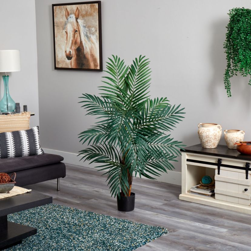 4 Areca Palm Tree