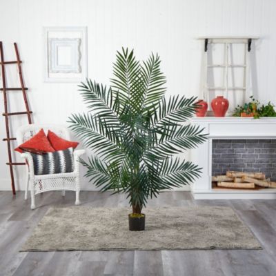 5' Areca Palm Tree