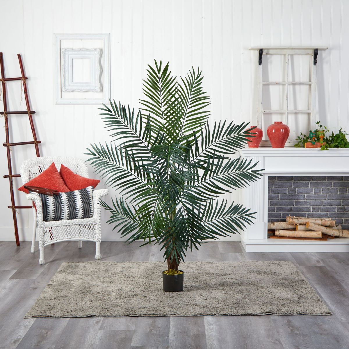 5 Areca Palm Tree